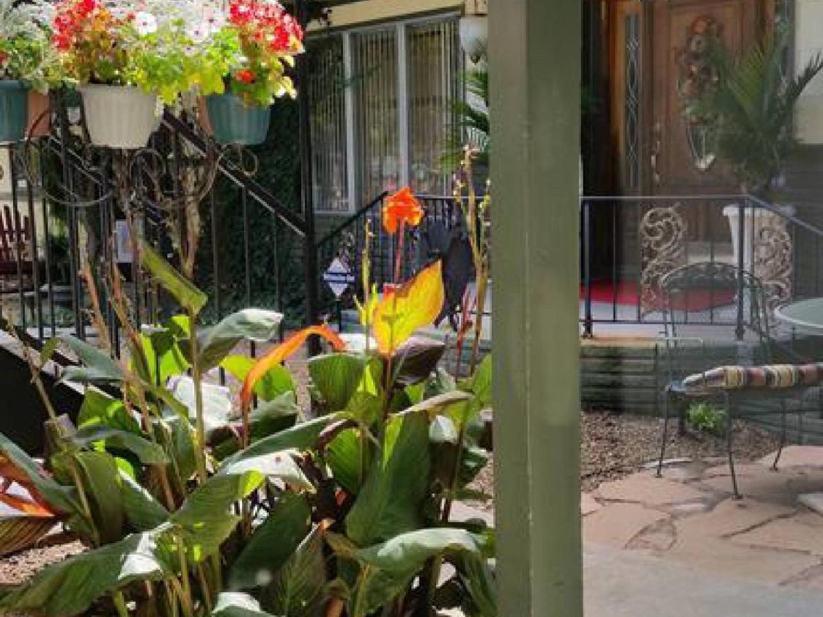 יוריקה ספרינגס Tradewinds Lodging מראה חיצוני תמונה